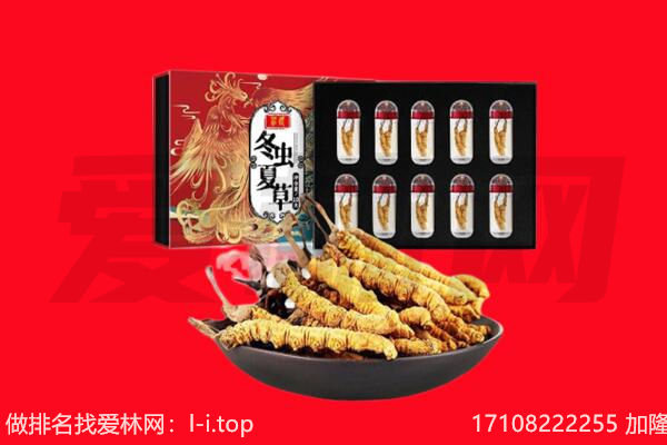 房县回收虫草.jpg